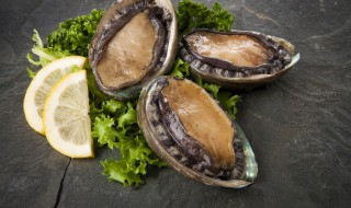 新鲜鲍鱼可以放冰箱冷冻吗 新鲜鲍鱼可以放冰箱冷冻吗