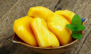 菠萝蜜果酱好吃吗（菠萝蜜果酱的制作方法）