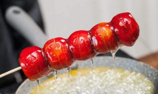 冰糖葫芦放冰箱好吗 冰糖葫芦放冰箱可以吗