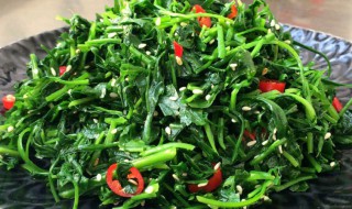 胃不好可以吃荠菜吗（胃不好可以吃荠菜吗早餐）