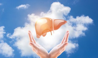 秋冬养肝护肝泡什么茶比较好（秋冬养肝护肝泡什么茶比较好喝）