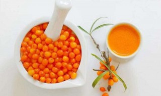 沙棘果什么时候吃合适（沙棘果什么季节才有）