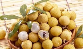 龙眼酒怎么泡（龙眼酒怎么泡视频）