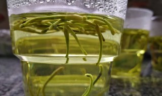 金银花茶是怎么制作的 金银花茶是怎么制作的呢