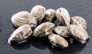 花甲肚子里面的屎怎么处理（花甲肚子里面的屎能吃吗）