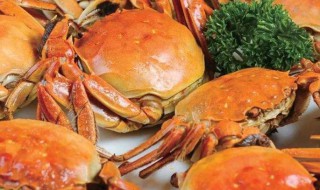 清蒸螃蟹隔夜还能吃吗 清蒸螃蟹隔夜还能吃吗?
