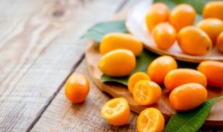 冰糖金桔水怎么做好吃（冰糖金桔水怎么做好吃窍门）