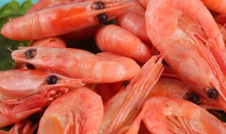 冰虾的功效与作用 冰虾的功效与作用及禁忌