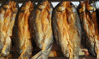 腊鱼用什么鱼最好（腊鱼用什么鱼最好养）