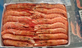 阿根廷大虾的营养价值 阿根廷大虾的营养价值和功效