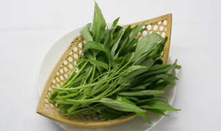 空心菜吃不完怎么保存 空心菜吃不完怎么保存不会坏