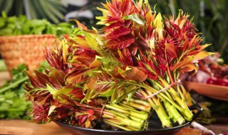 荨麻疹能吃香椿吗（荨麻疹能吃香椿吗小孩）