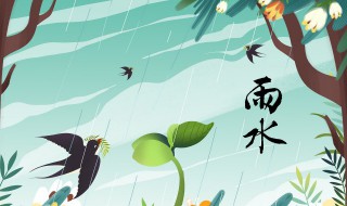 雨水节气适合吃什么（雨水节气适合吃什么水果）