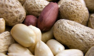 花生米受潮不脆了怎么办（花生米受潮不脆了怎么办视频）