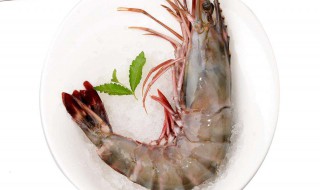 冰冻黑虎虾营养价值 冰冻黑虎虾营养价值高不高