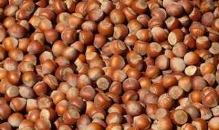 榛子可以放冰箱冷冻吗（榛子可以放冰箱冷冻吗多少度）