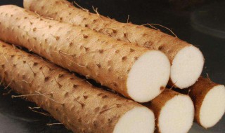 冬天吃什么补肾好 冬天吃点什么补肾