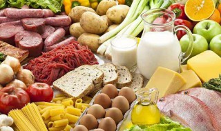 高蛋白质食物一览表 高蛋白质食物一览表图