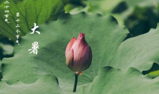 大暑节气的特点是什么（大暑节气的特点是什么意思）