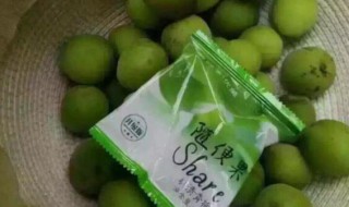 随便果可以去湿气吗（随便果能去湿气吗?）