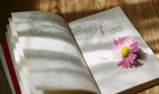 瞬间让人感动的句子（瞬间让人感动的句子友谊）