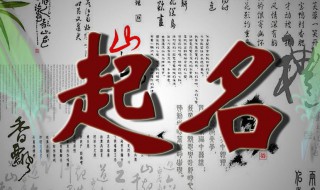 女生文艺名字（女生文艺名字两个字）