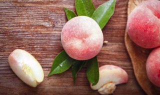 脆桃子是什么季节的水果（脆桃的季节是几月份）