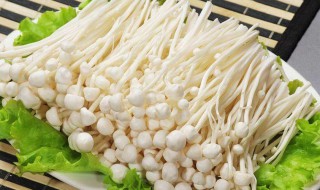 金针菇怎么炒着好吃（金针菇怎么炒着好吃简单）