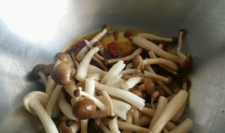 海鲜菇怎么做好吃 海鲜菇怎么做好吃家常做法