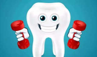 一口健康的牙齿其实应该是什么颜色的 牙齿分为几种