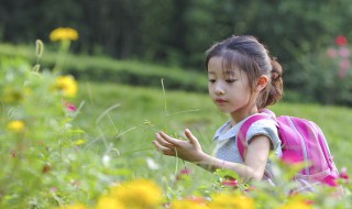 女孩温柔文静诗意名字（女孩温柔文静诗意名字古风）