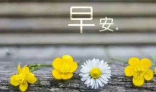 新一周的早安语句 新一周的早安语句迎接新一周的句子