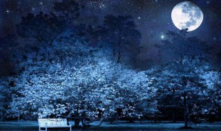 描写夜晚的优美句子（描写夜晚天空的优美句子）