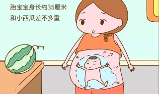 梦见别人怀孕什么预兆（女人梦见别人怀孕是啥预兆）