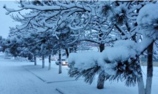 梦见下大雪是什么预兆 男人梦见下大雪是什么预兆