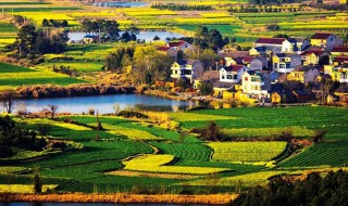 鱼米之乡是哪里（中国著名的鱼米之乡是哪里）