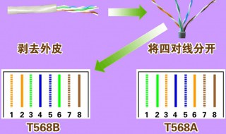 网线的接法介绍（网线的接法介绍视频）