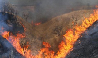 梦见大火烧山什么意思 梦见火烧山是什么意思周公解梦