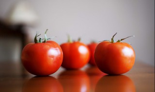 西红柿怎么做好吃 西红柿怎么做好吃又简单