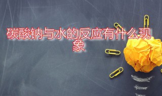 碳酸钠与水的反应有什么现象 碳酸钠与水反应生成什么?