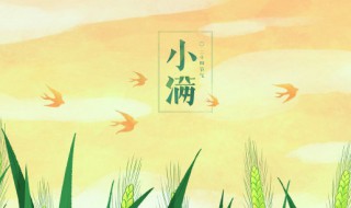 小满节气养生知识（小满节气养生知识大全）