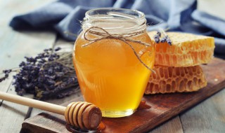 泡蜂巢酒的正确方法（泡蜂巢酒的正确方法是什么）