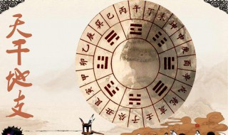 天干地支五行对照表（天干地支五行对照表顺口溜）