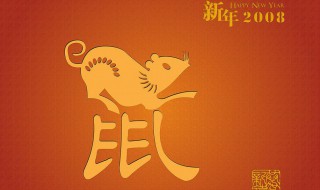 08年是鼠年发生了什么 08年的鼠年发生了什么大事