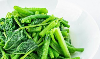 青菜怎么煮不会黄 青菜怎么煮才能保持绿色