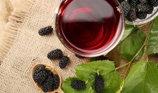 桑葚冷冻后还可以吃吗 桑葚冷冻后还可以吃吗