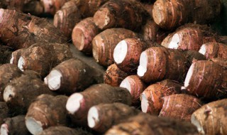 吃完芋头可以吃柿子吗（吃完芋头可以吃柿子吗会过敏吗）