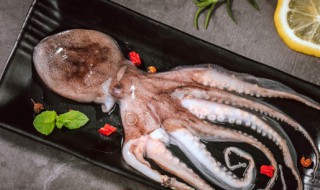 八爪鱼的头部不清理可以吃吗 八爪鱼头部怎么处理