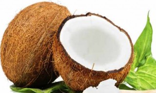 椰子怎么打开功效有哪些 椰子怎么打开椰子的正确打开方法