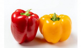 五彩椒的功效与作用 五彩椒的功效与作用怎么吃